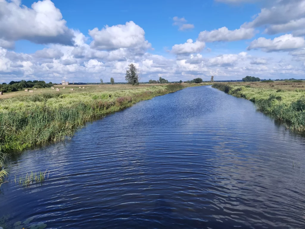Delta du Niemen