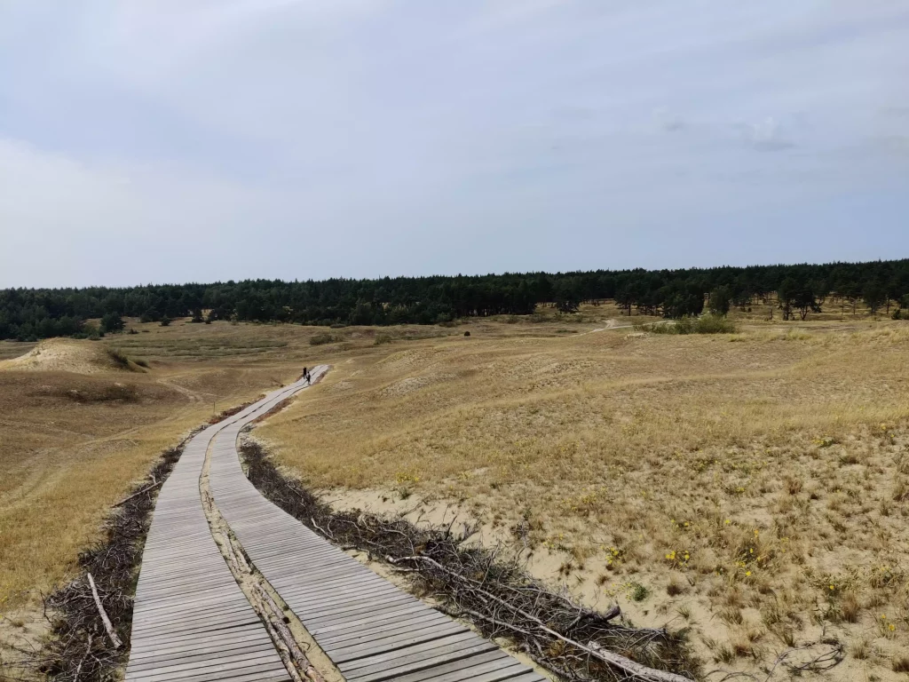 Dunes de l'Isthme de Courlande