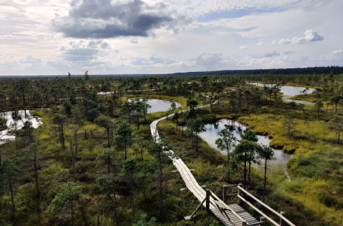 Grande Tourbière Kemeri