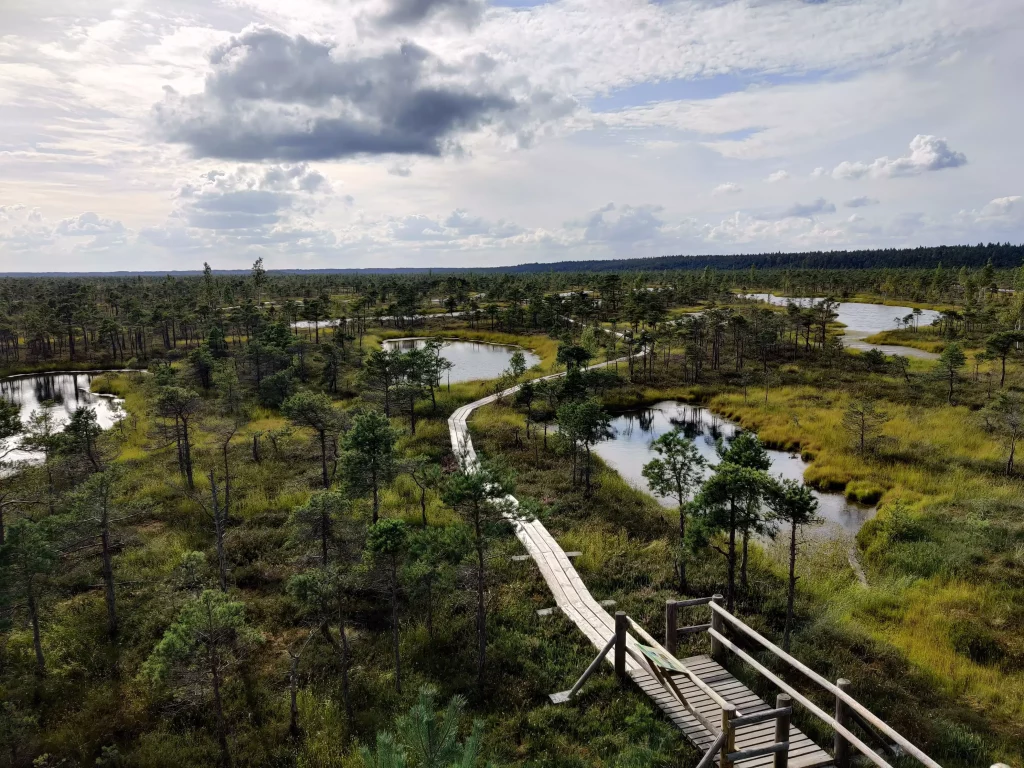 Grande Tourbière Kemeri
