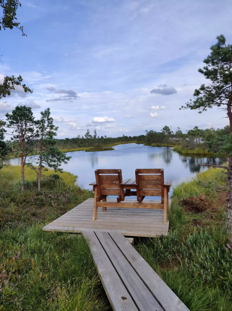 Tourbière Pays Baltes