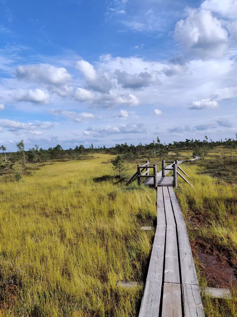 Passerelle tourbière Kemeri