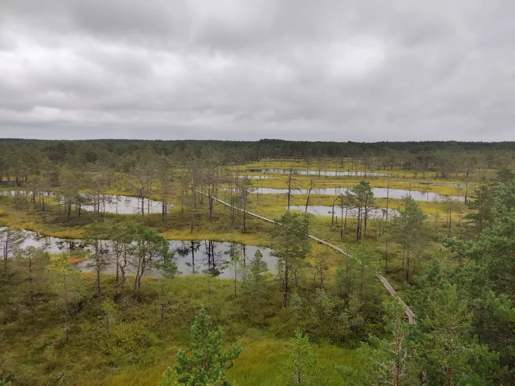 Tourbière Lahemaa