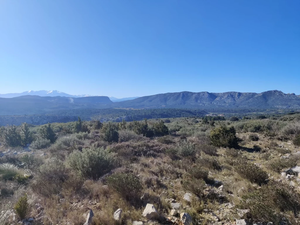 Vue Canigou depuis Périllos