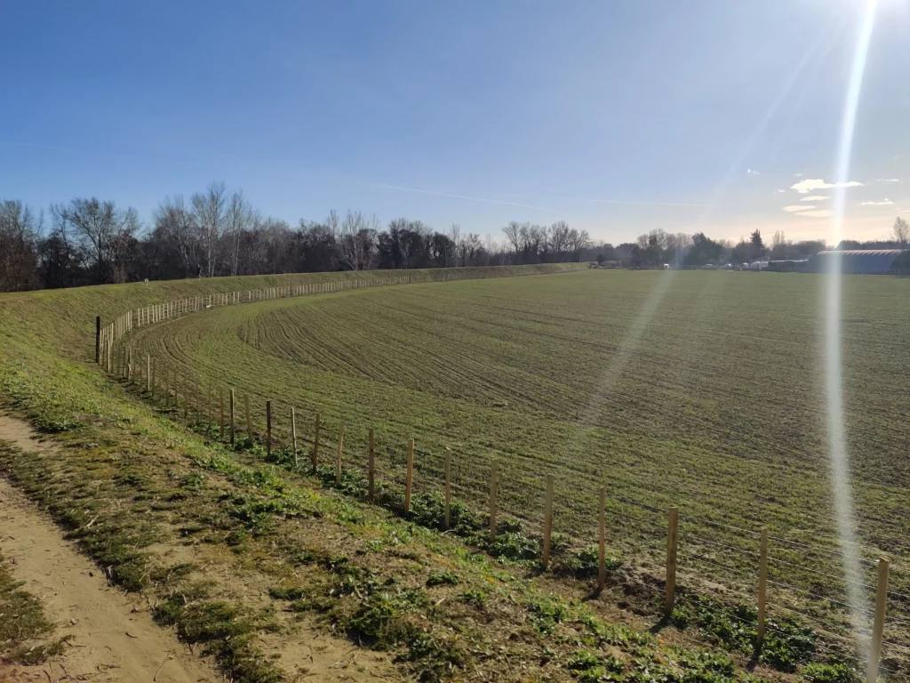 Champs boucle du Vidourle