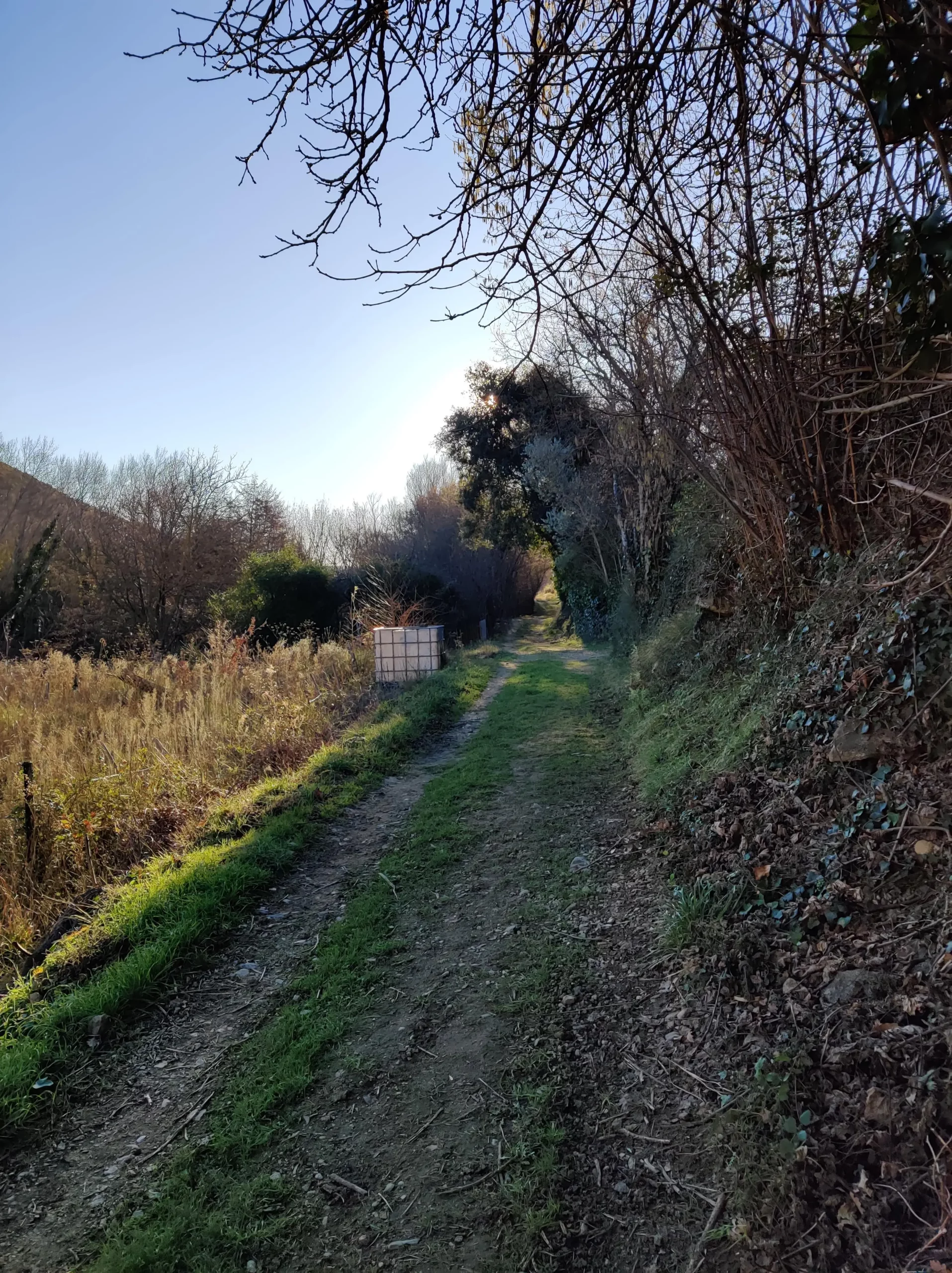 Chemin retour sentier des oiseaux d'Ansignan