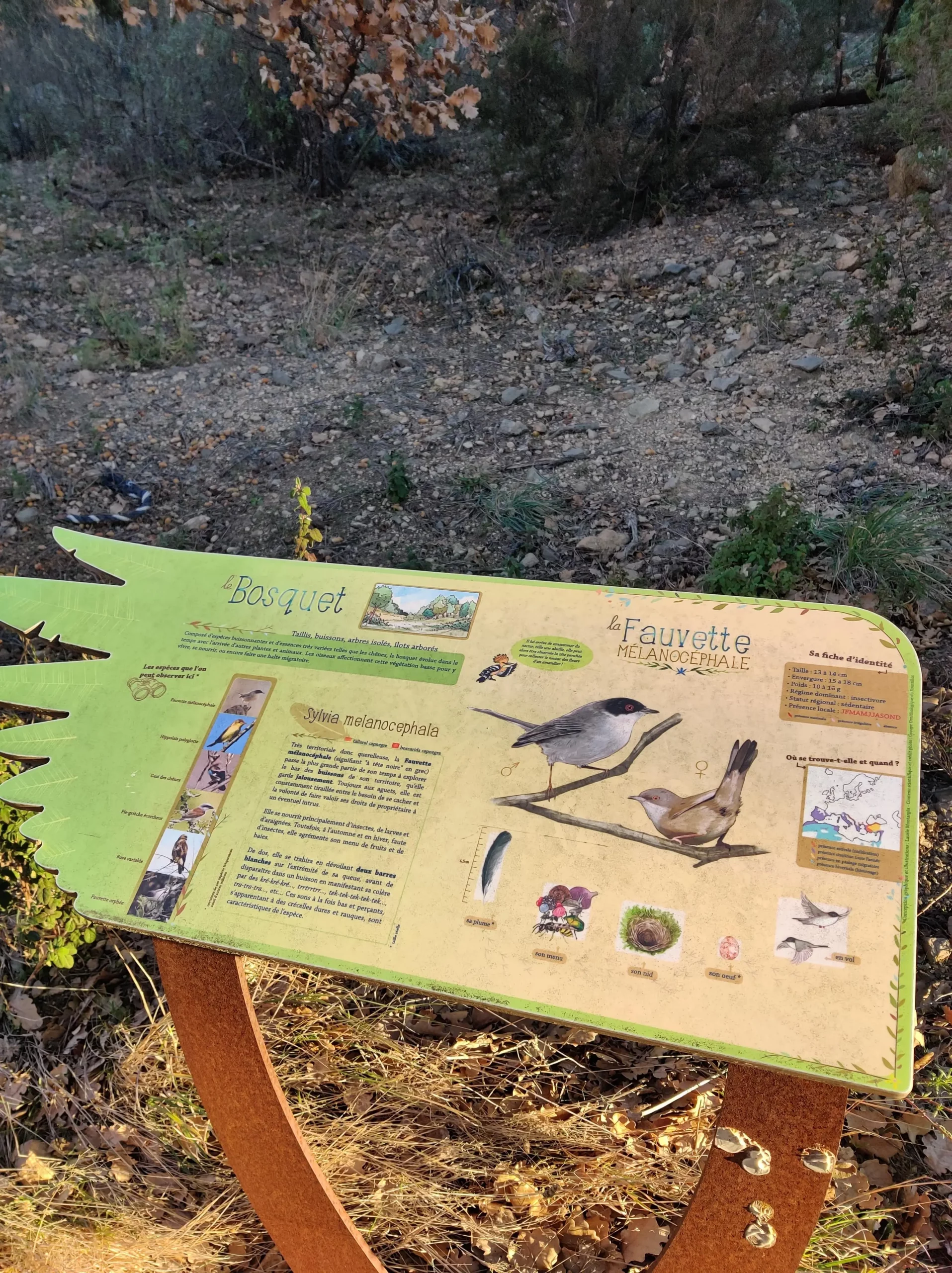 Panneau fauvette ansignan