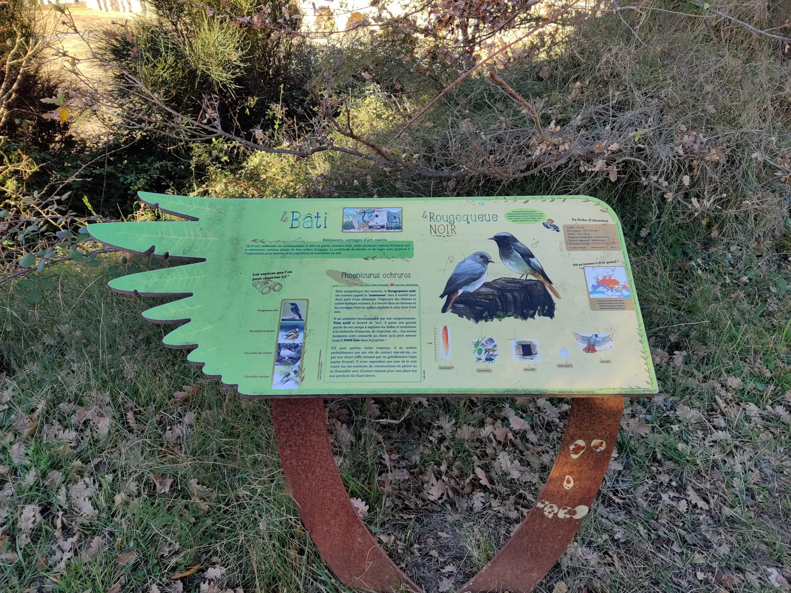 panneau rougequeue