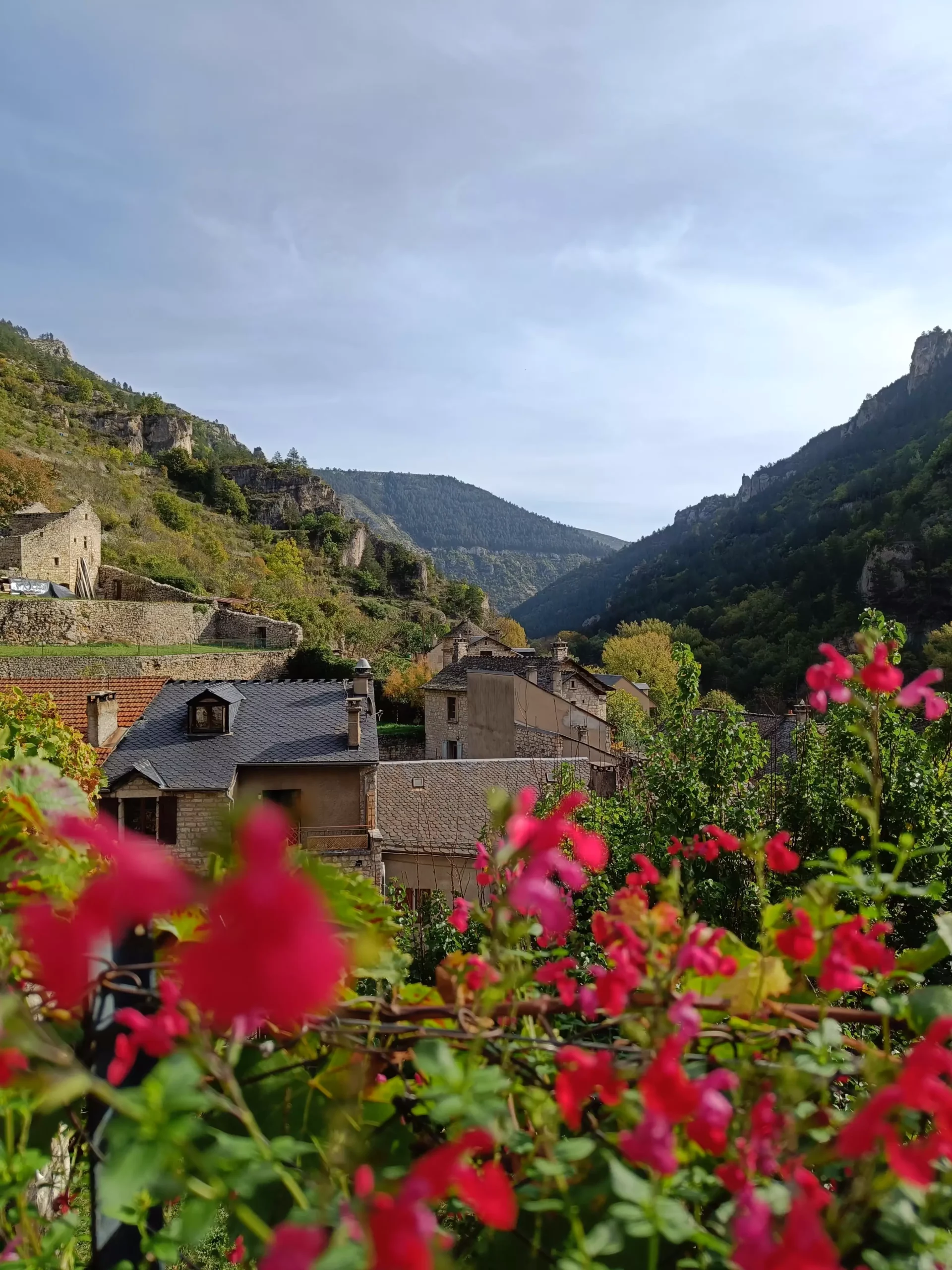 Sainte Enimie fleuri